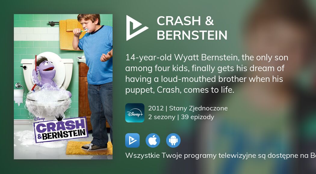 Gdzie oglądać streaming online serialu Crash & Bernstein?