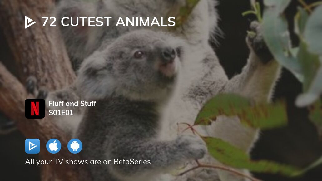 Watch 72 Cutest Animals Season 1 Episode 1 Streaming Online