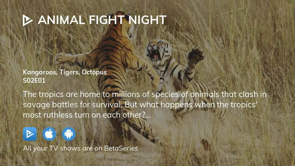 Watch Animal Fight Night season 2 episode 1 streaming online |  