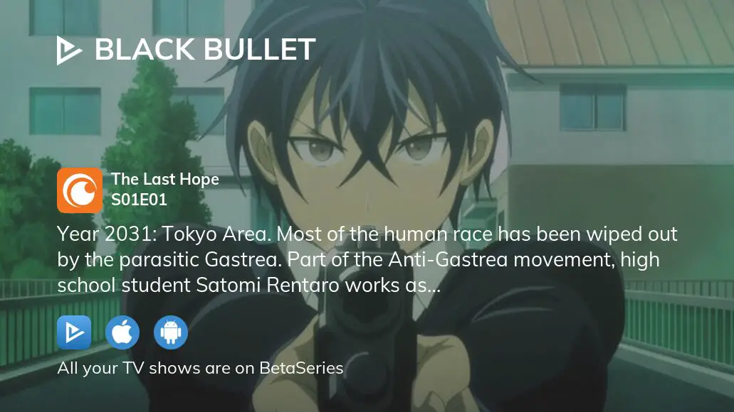 Black Bullet - watch tv show streaming online