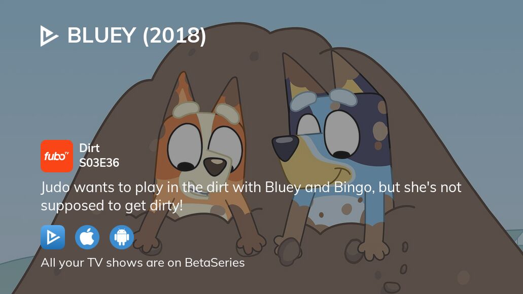 Where to watch Bluey season 3 episode 36 full streaming?