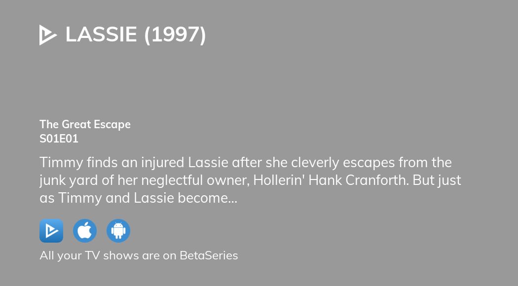 Lassie visual data 4