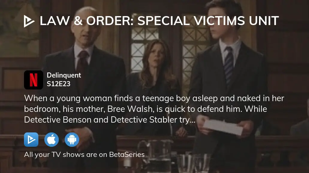 Watch Law & Order: Special Victims Unit season 12 episode ...