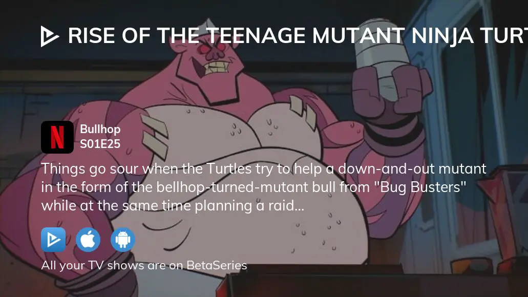 Watch Rise of the Teenage Mutant Ninja Turtles season 1 episode 25  streaming online