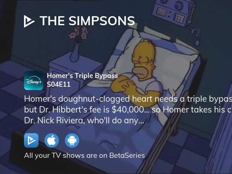 The Simpsons visual data 8