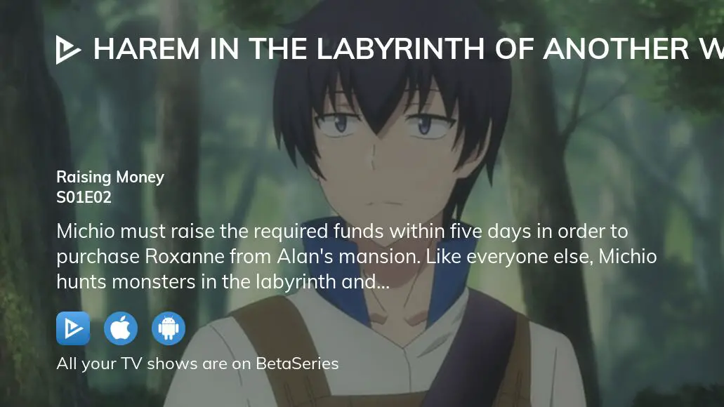 Harem in the Labyrinth of Another World - Broadcast Version Raising Money -  Watch on Crunchyroll
