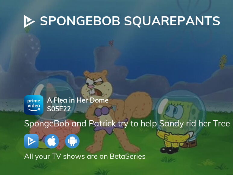 Where to watch SpongeBob SquarePants season 5 episode 22 full streaming
