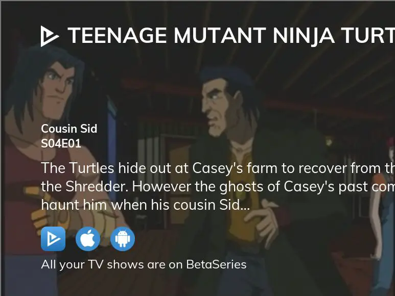https://www.betaseries.com/en/episode/teenage-mutant-ninja-turtles-2003/s04e01/image