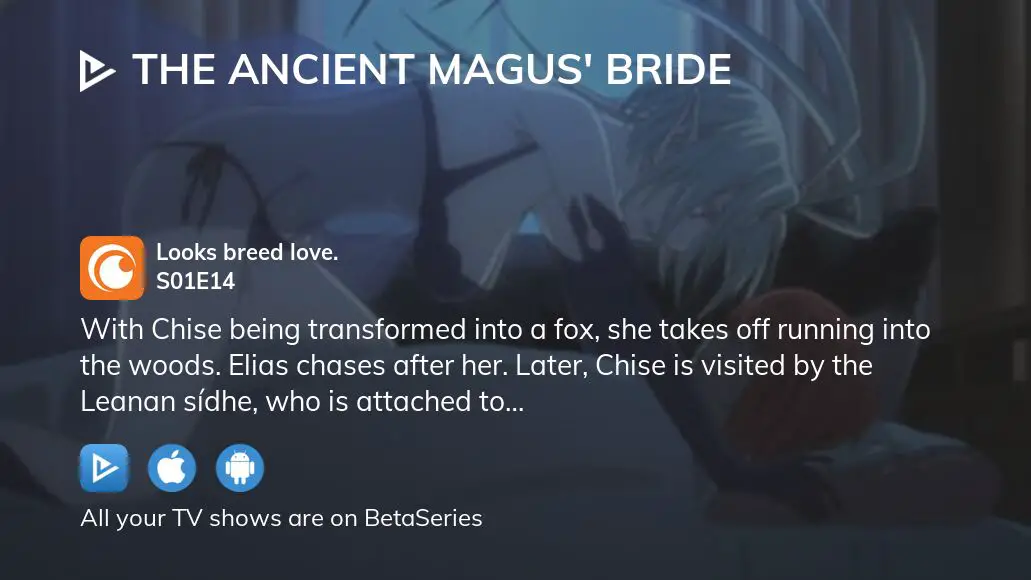 Watch The Ancient Magus Bride Season 1 Episode 14 Streaming Online Betaseries Com