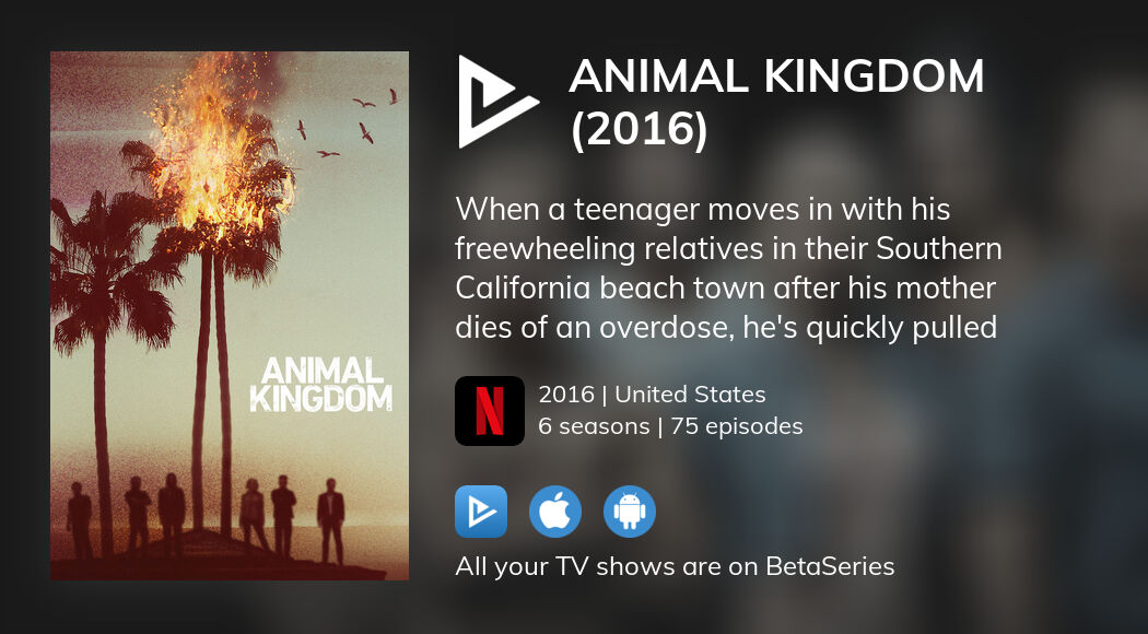 Where to watch Animal Kingdom (2016) TV series streaming online