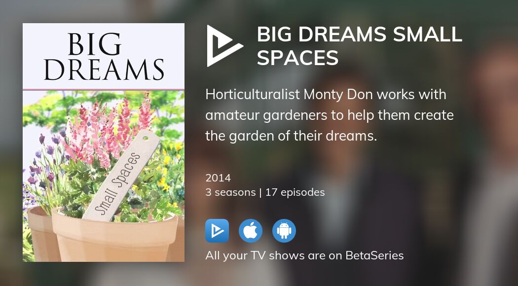 Where to watch Big Dreams Small Spaces TV series streaming online ...