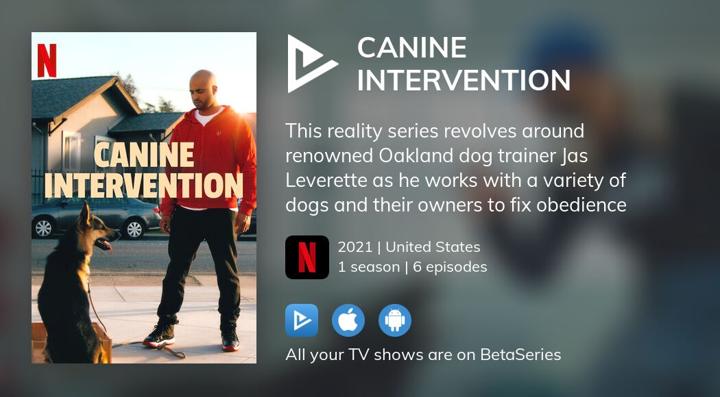 Watch Canine Intervention streaming