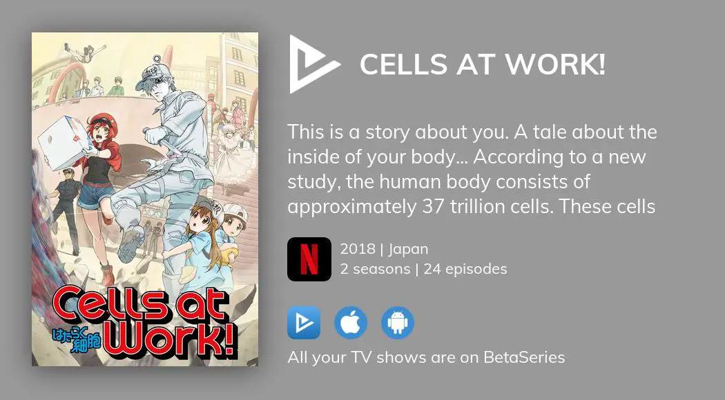 Cells at Work! Season 1 - watch episodes streaming online