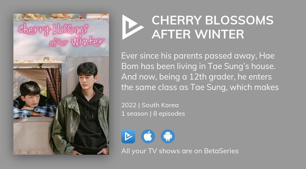 Where to watch Cherry Blossoms After Winter TV series streaming online
