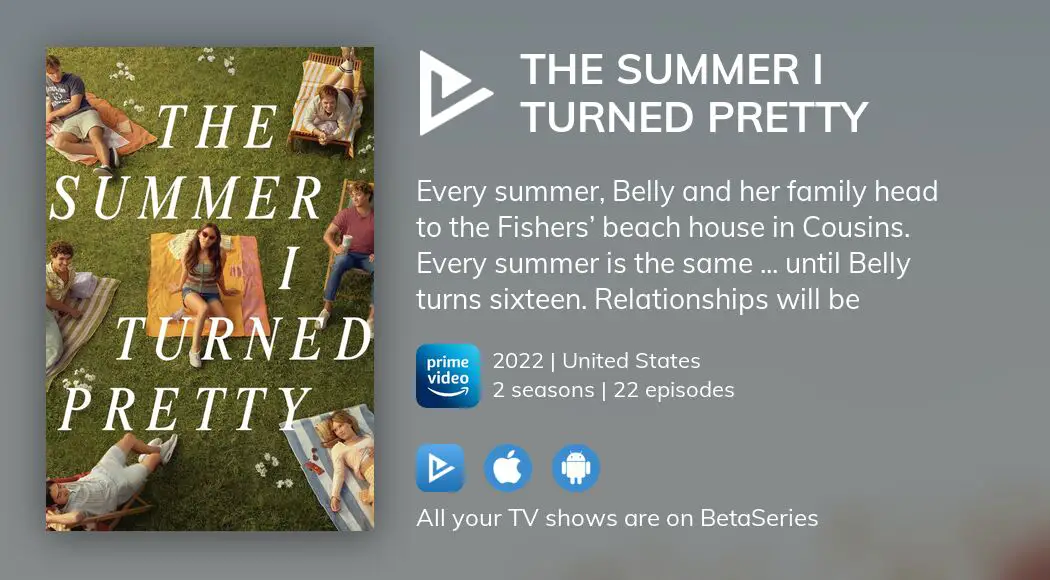 https://www.betaseries.com/en/show/the-summer-i-turned-pretty/image