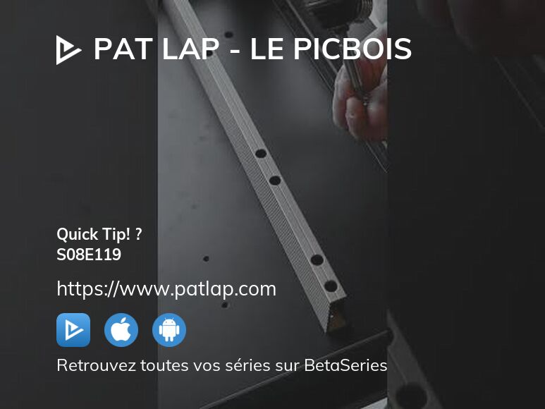 Regarder Pat Lap - Le PicBois saison 8 épisode 119 streaming complet