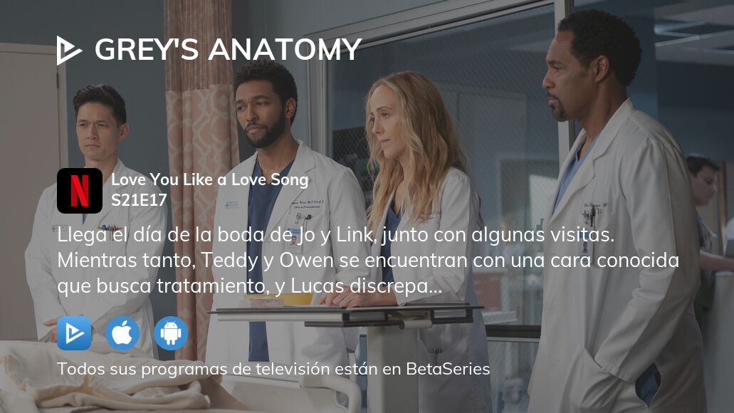 Ver Grey's Anatomy temporada 21 episodio 17 streaming