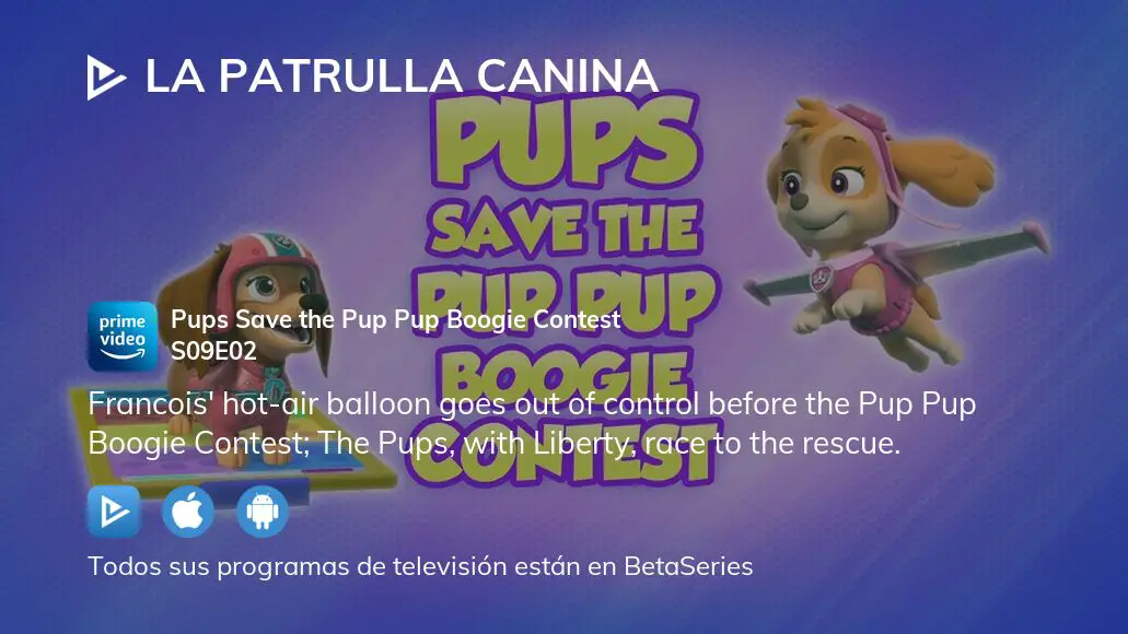 Ver La Patrulla Canina temporada 9 episodio 2 en streaming