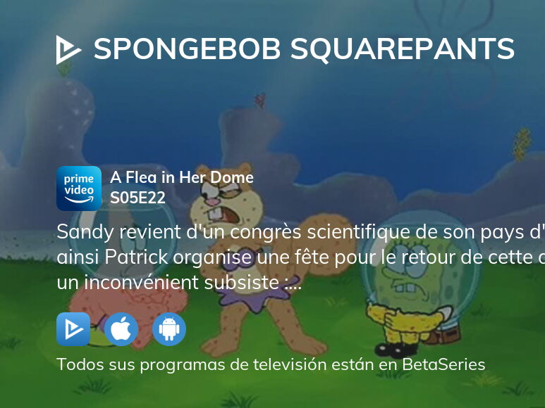 ¿Dónde ver Bob Esponja temporada 5 episodio 22 full streaming