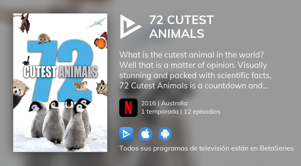 ¿Dónde ver 72 Cutest Animals TV series streaming online? | BetaSeries.com