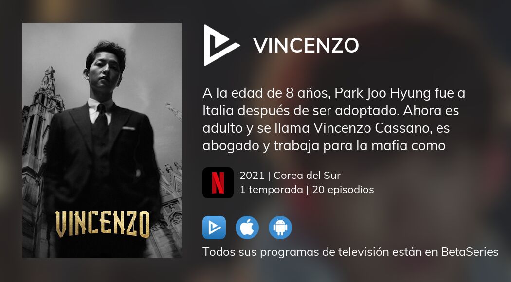 Ver Vincenzo en streaming