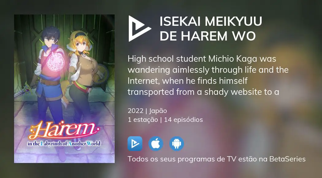 Onde assistir à série de TV Isekai Meikyuu de Harem wo em streaming  on-line?