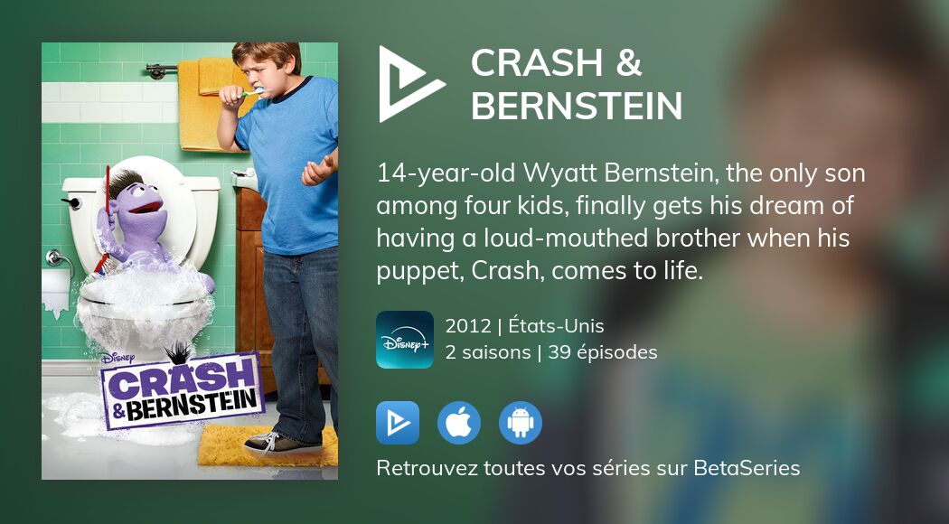 Où regarder les épisodes de Crash & Bernstein en streaming complet